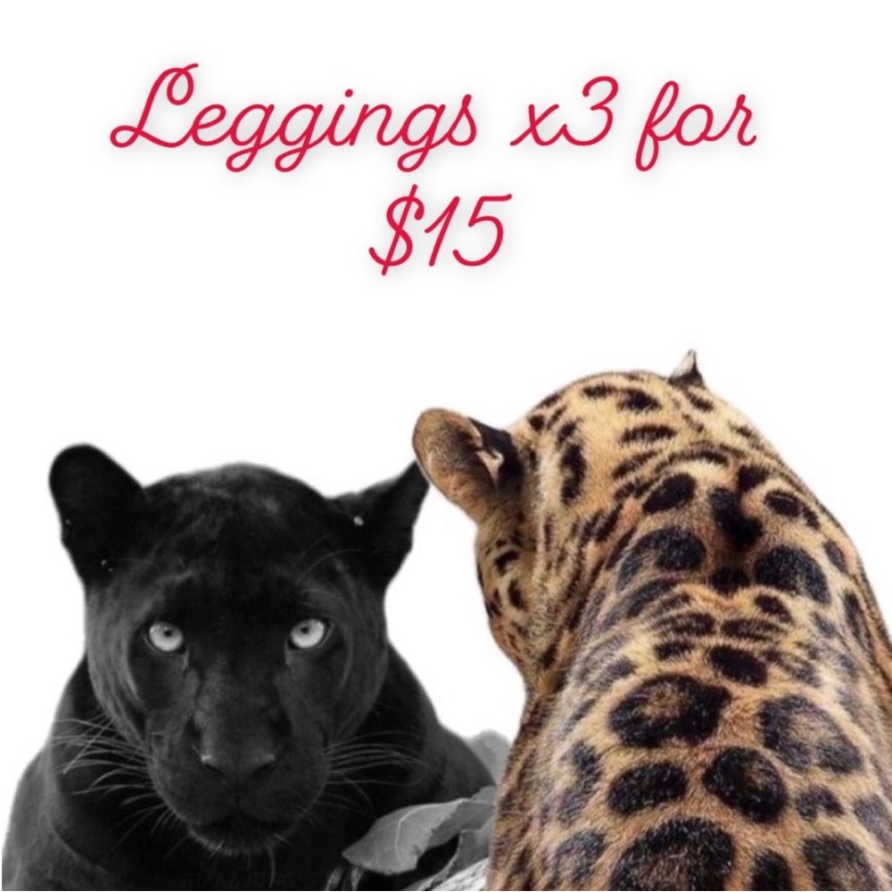 Bundle x3 Leggings For $15!